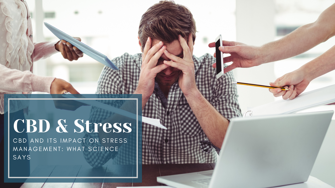 CBD and Its Impact on Stress Management: What Science Says