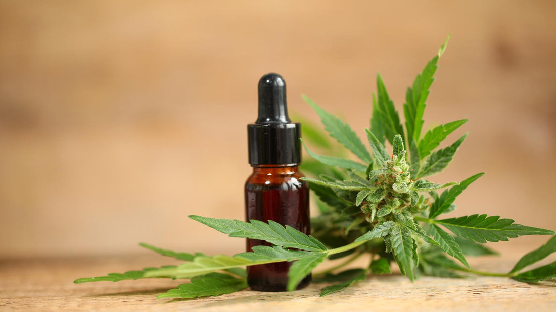 CBD: The Best Oil for Menopause? Let's Find Out!