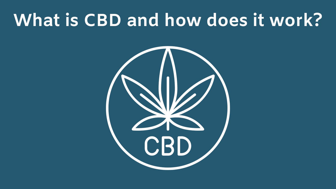 CBD: All You Need to Know in 10 Steps!