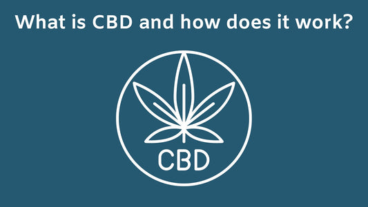 CBD: All You Need to Know in 10 Steps!