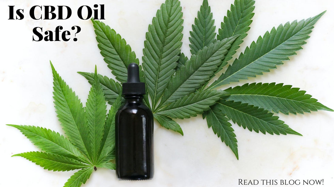 Is CBD Safe? Absolutely! 10 Reasons Why