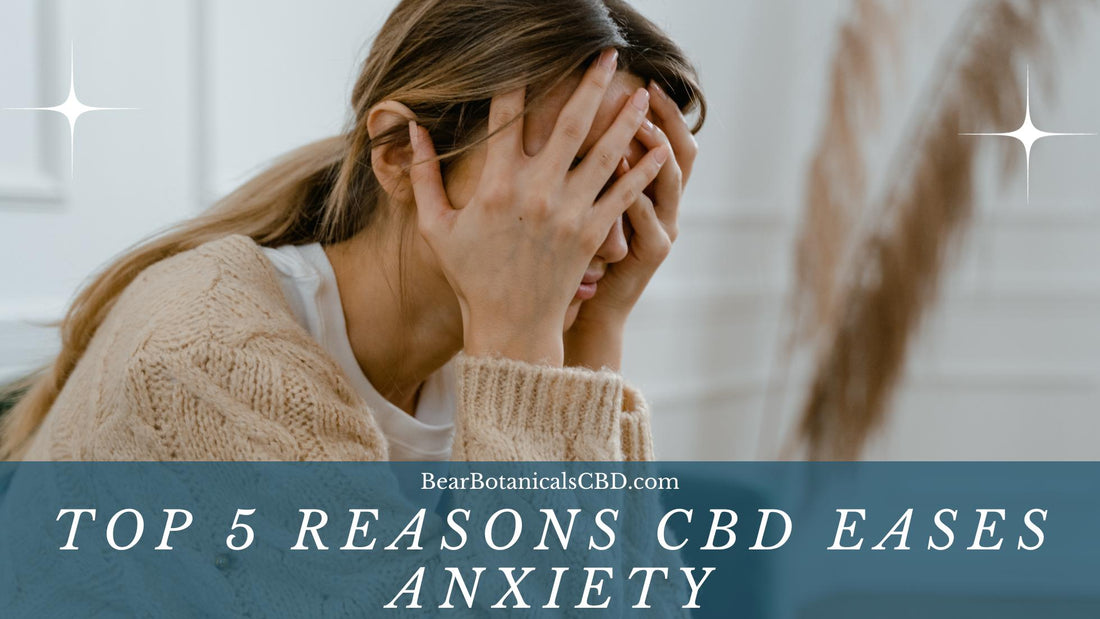 Top 5 Reasons CBD Eases Anxiety