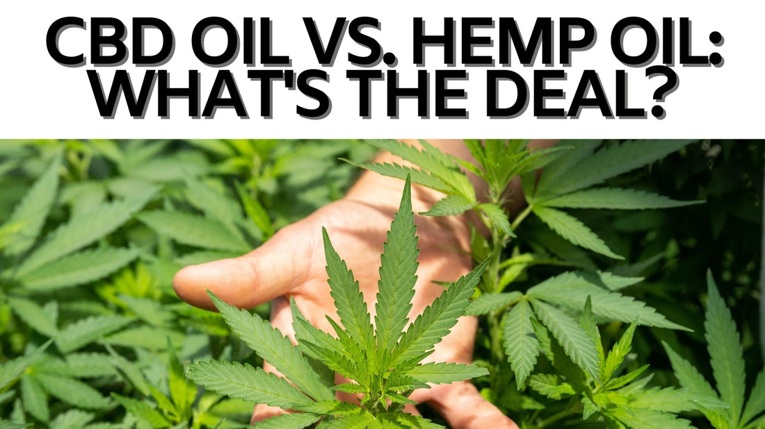 CBD Oil vs. Hemp Oil: What's the Deal?