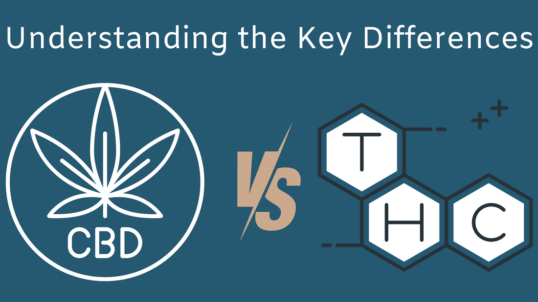 CBD vs. THC: Understanding the Key Differences