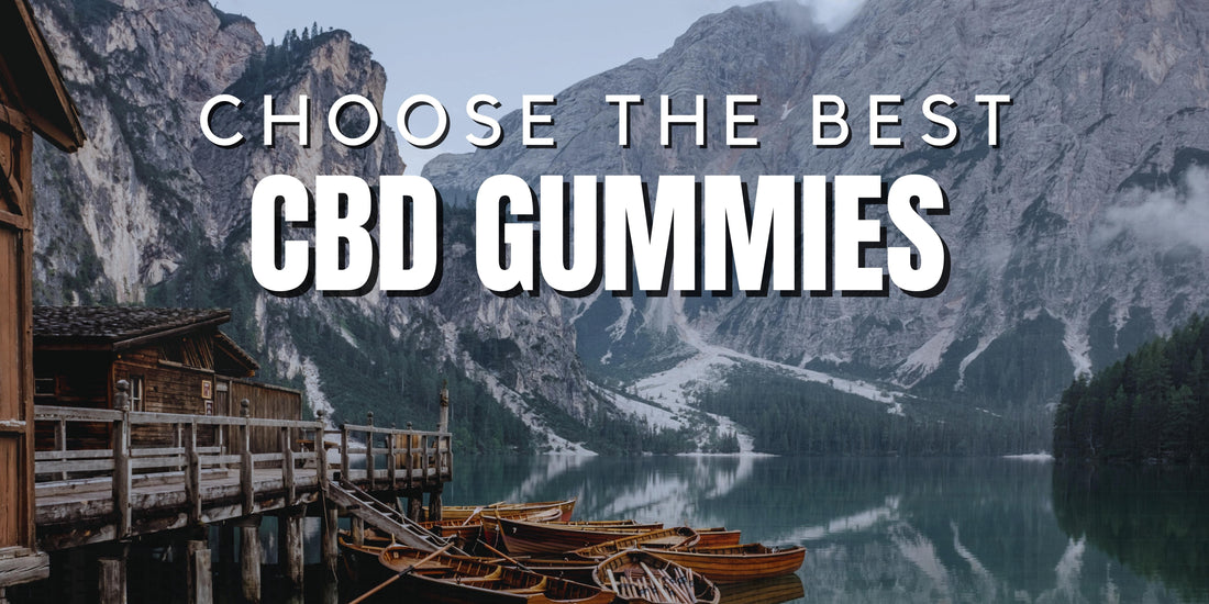 How to Choose the Best CBD Gummies for Your Wellness Journey